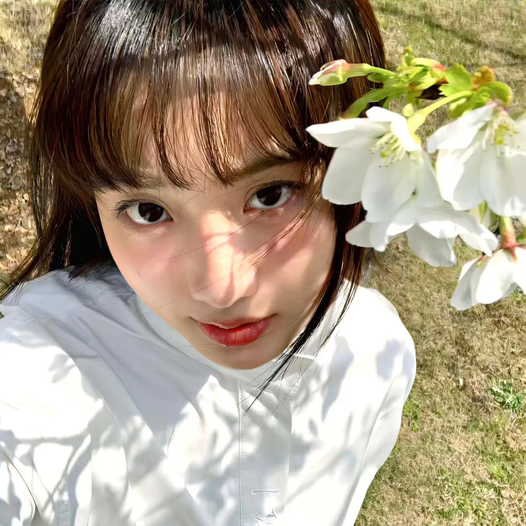 玉楼春梦